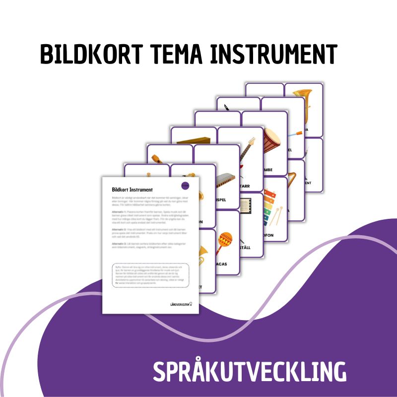 Bildkort Instrument
